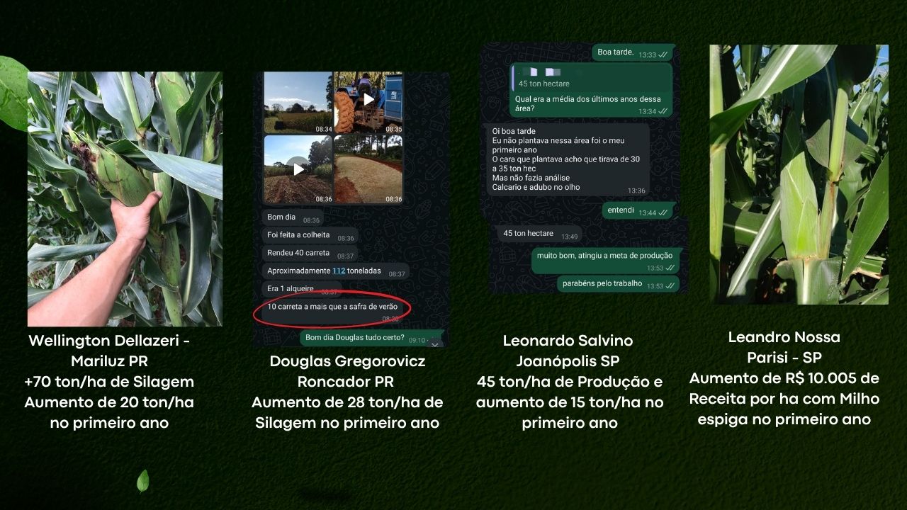 Resultados de produtores: silagem e produção de milho em PR, SP e AL